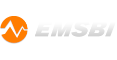 EMSBI - Электромагнитная совместимость и безопасность информации